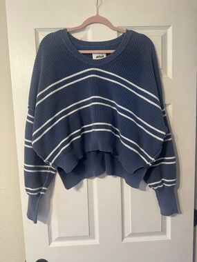 aerie Blue and White Striped Cropped Crewneck Sweater